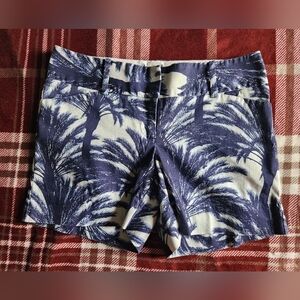 Palm Tree Print Women's Shorts